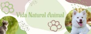 vida natural animal